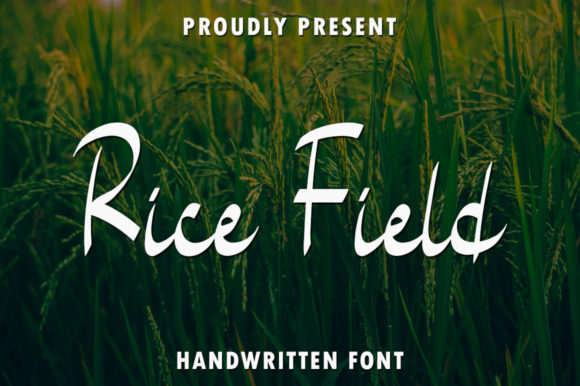 Rice Field Font Review